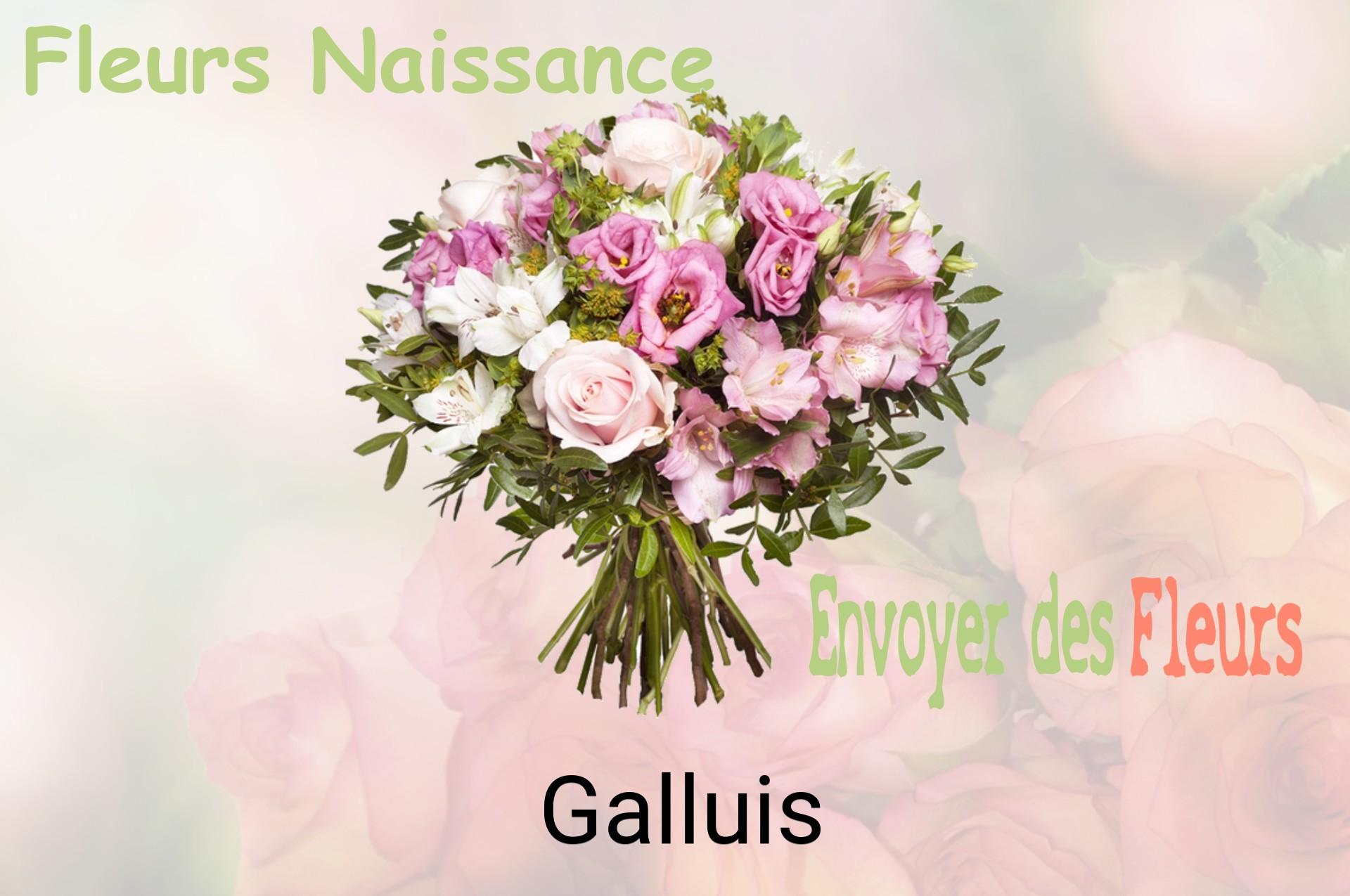 Bouquet de fleurs de naissance livré à Galluis